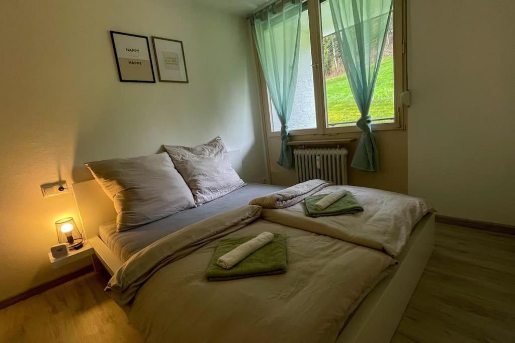 Shine Apartment โอเบอร์สเทาเฟิน ภายนอก รูปภาพ